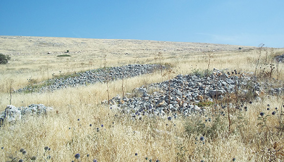 ערימות חציבה וסיתות בגליל (צילום: מאיר פינקל)