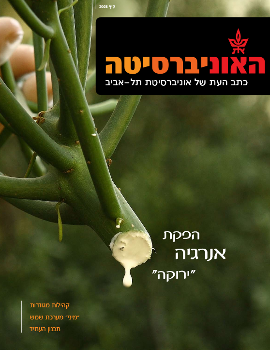 קיץ 2008