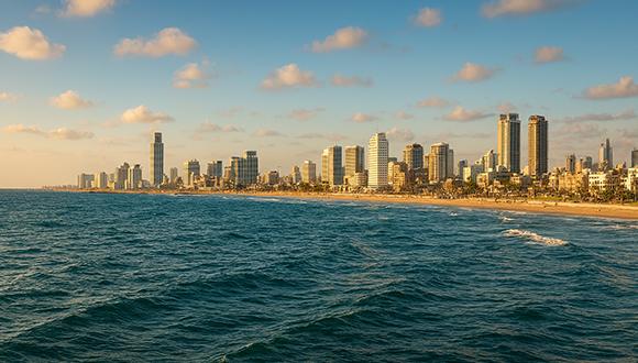יכול להיות שהאוצר התזונתי הבא של העולם גדל דווקא מול חופי תל אביב? יכול להיות שהאוצר התזונתי הבא של העולם גדל דווקא מול חופי תל אביב?